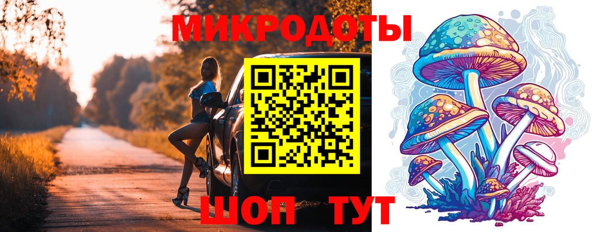 Псилоцибиновые грибы GOLDEN TEACHER Курганинск